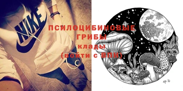мдма Богданович