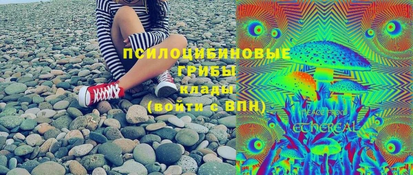 mdpv Богородск
