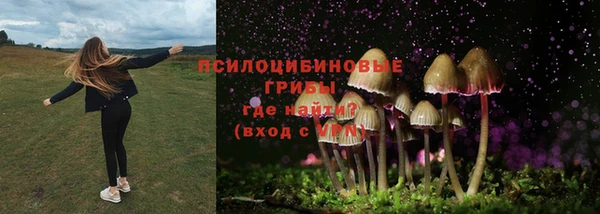 mdma Бородино