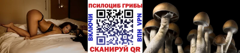 Псилоцибиновые грибы ЛСД  Белая Калитва 